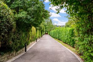 Photo 41- click for photo gallery